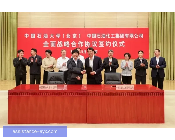 勒阿弗尔俱乐部近期动态与赛季战略全面解析十大焦点与未来展望