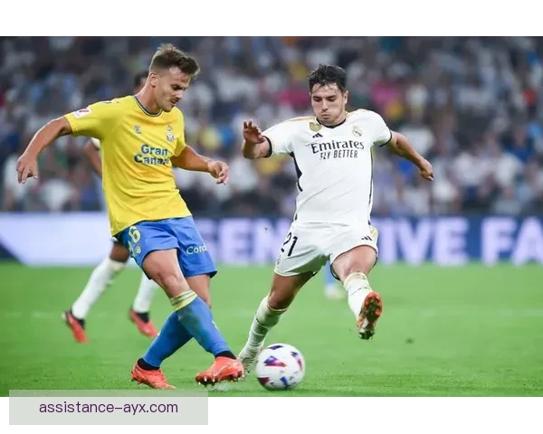 拉斯帕尔马斯足球俱乐部历史成就与未来发展展望分析